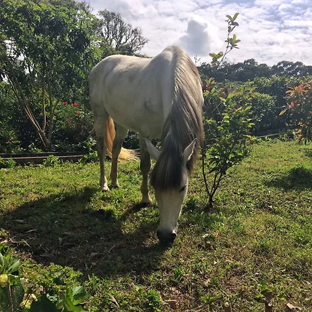 Quinta De Santana 4*