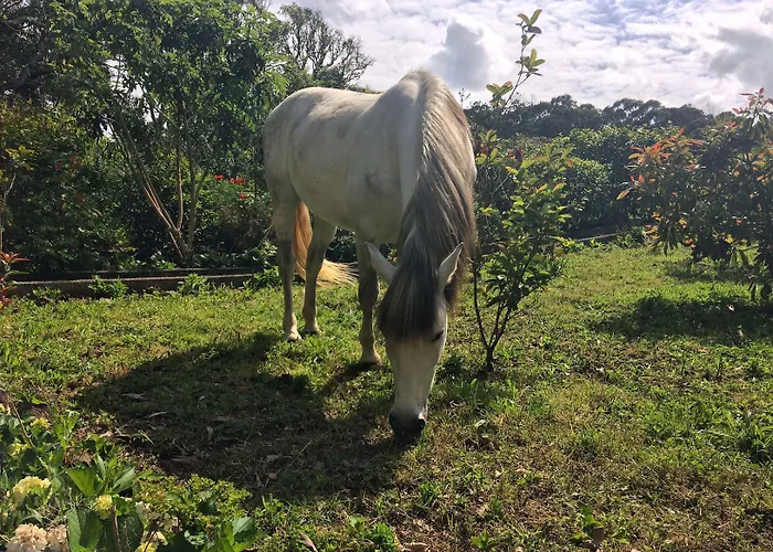 Quinta De Santana 4*